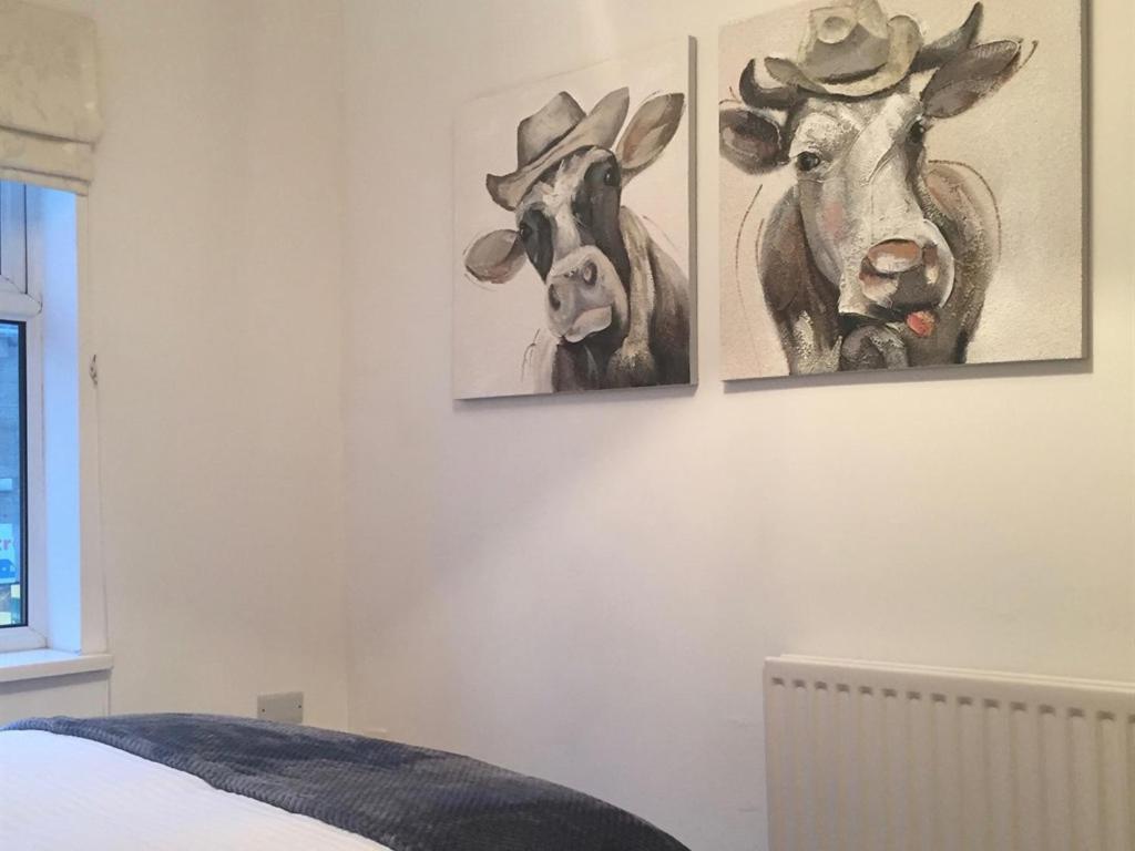 Durham Serviced Properties - The Sanctuary Quarto foto